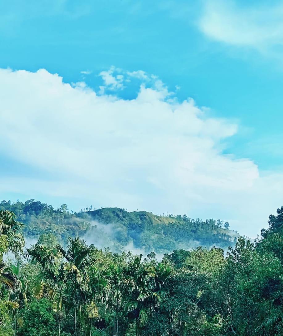 Mountain Shack Homestay Ella Bagian luar foto