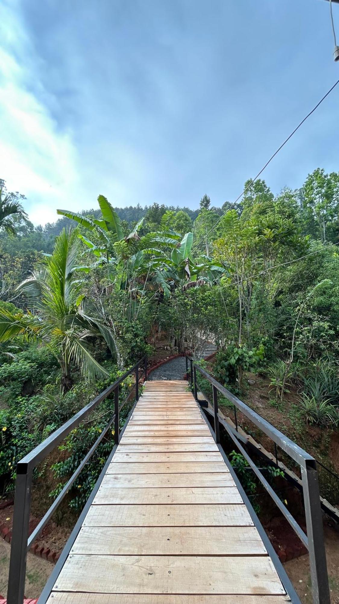 Mountain Shack Homestay Ella Bagian luar foto